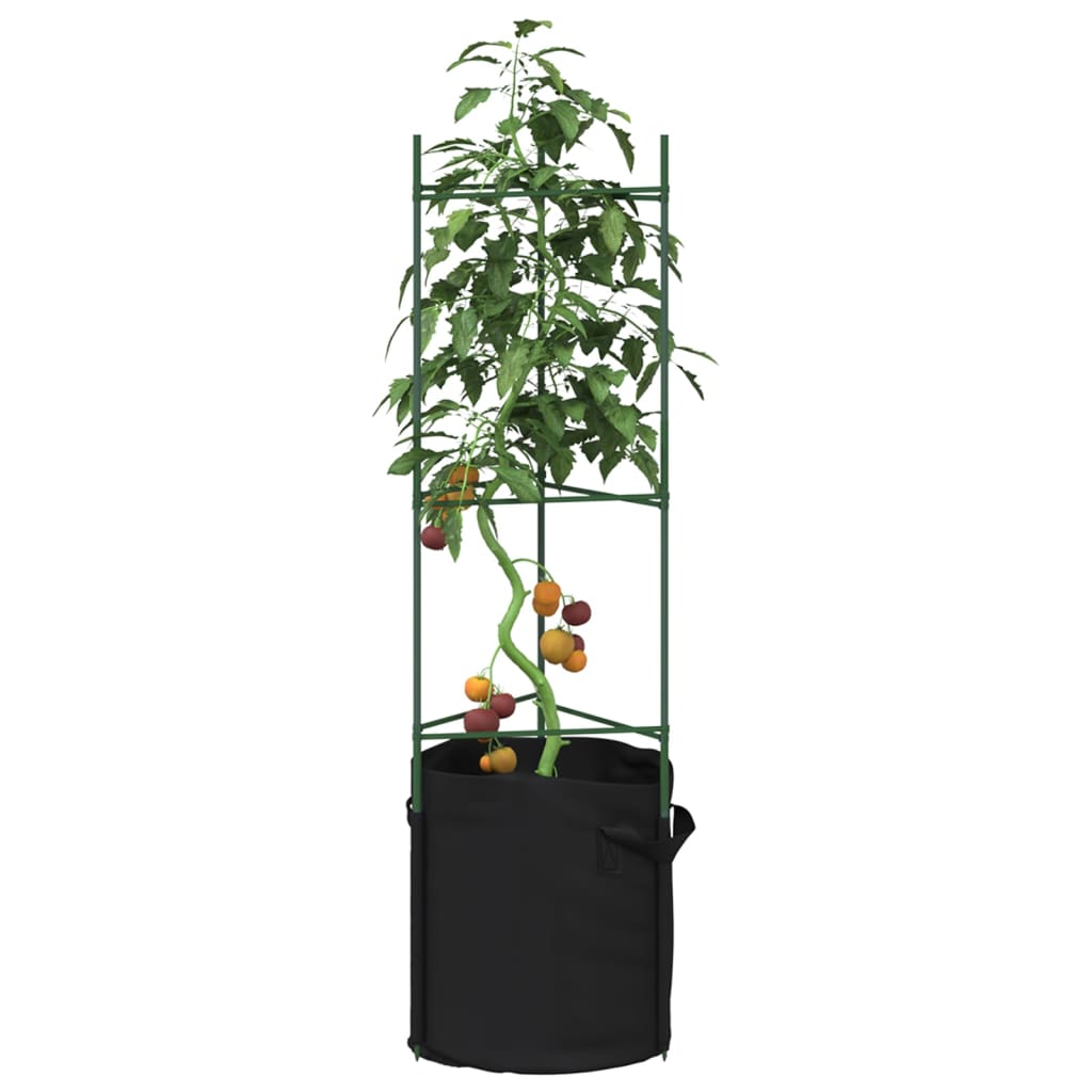 Tomatenkäfige 4 Stk. Stahl Und Pp