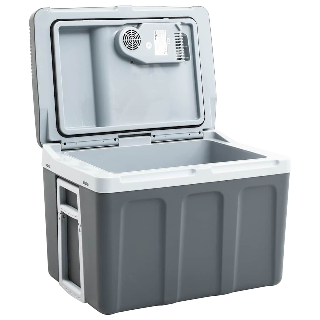 Thermoelektrische Kühlbox Mobil 12V 230V E