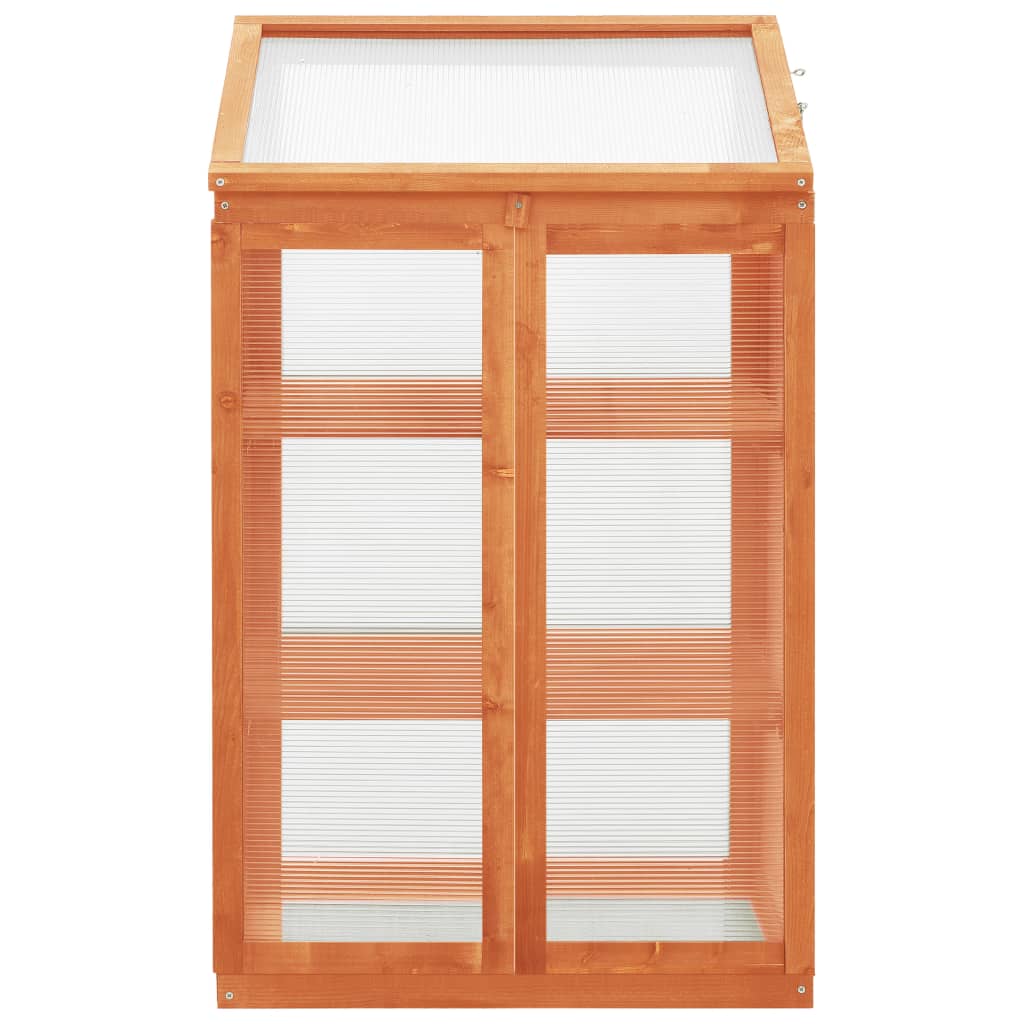 Gewächshaus 60X45X100 Cm Tannenholz