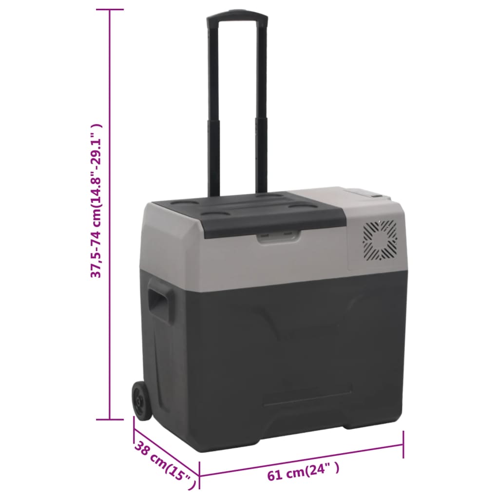 Kühlbox Mit Rollen Und Griff Schwarz & Grau Polypropylen