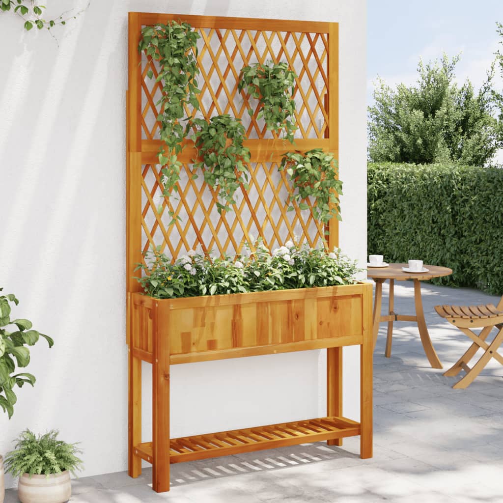 Pflanzkübel Mit Rankgitter & Ablage 55X29,5X152 Cm Akazienholz