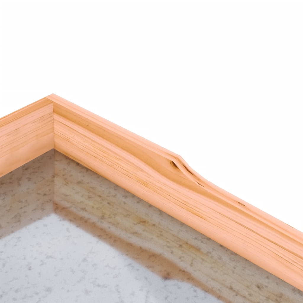 Pflanztisch Mit Ablagen 78X38X82,5 Cm Massivholz Tanne