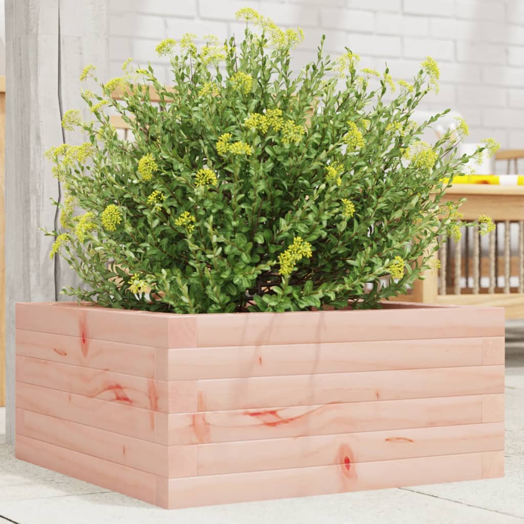 Pflanzkübel 50X50X68,5 Cm Massivholz Douglasie Natürliches Douglasie