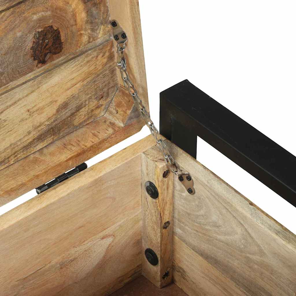 Aufbewahrungs-Truhen Braun Massivholz Mango