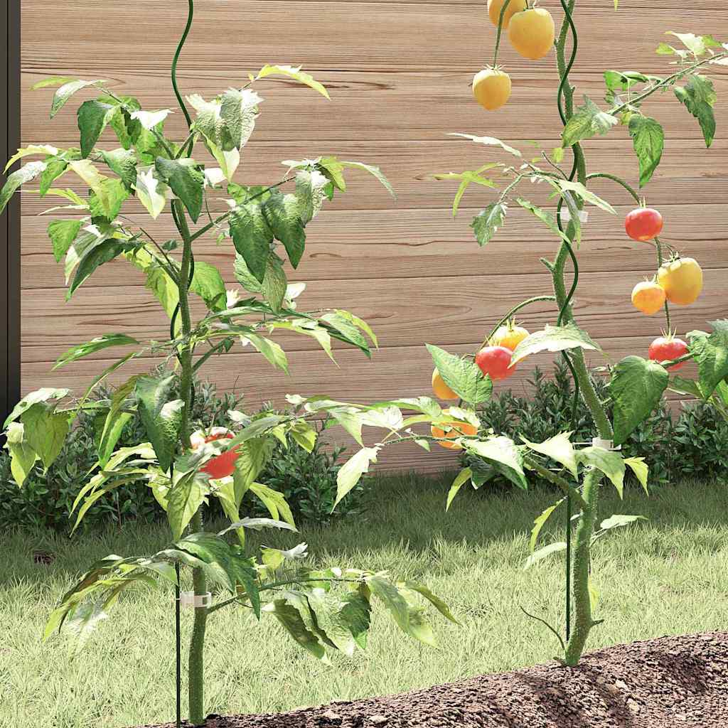 Tomaten-Spiralstäbe 50 Stk.
