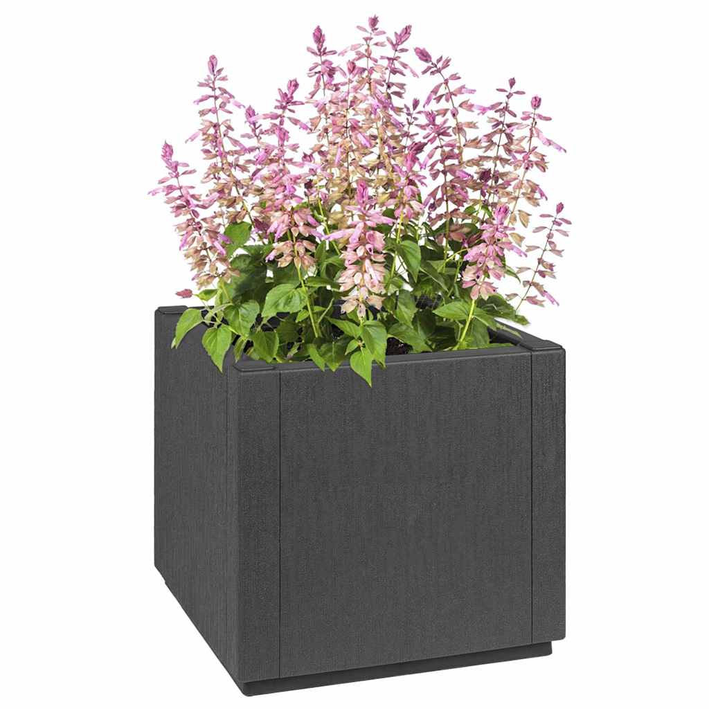 Gartenblumenbox Pp