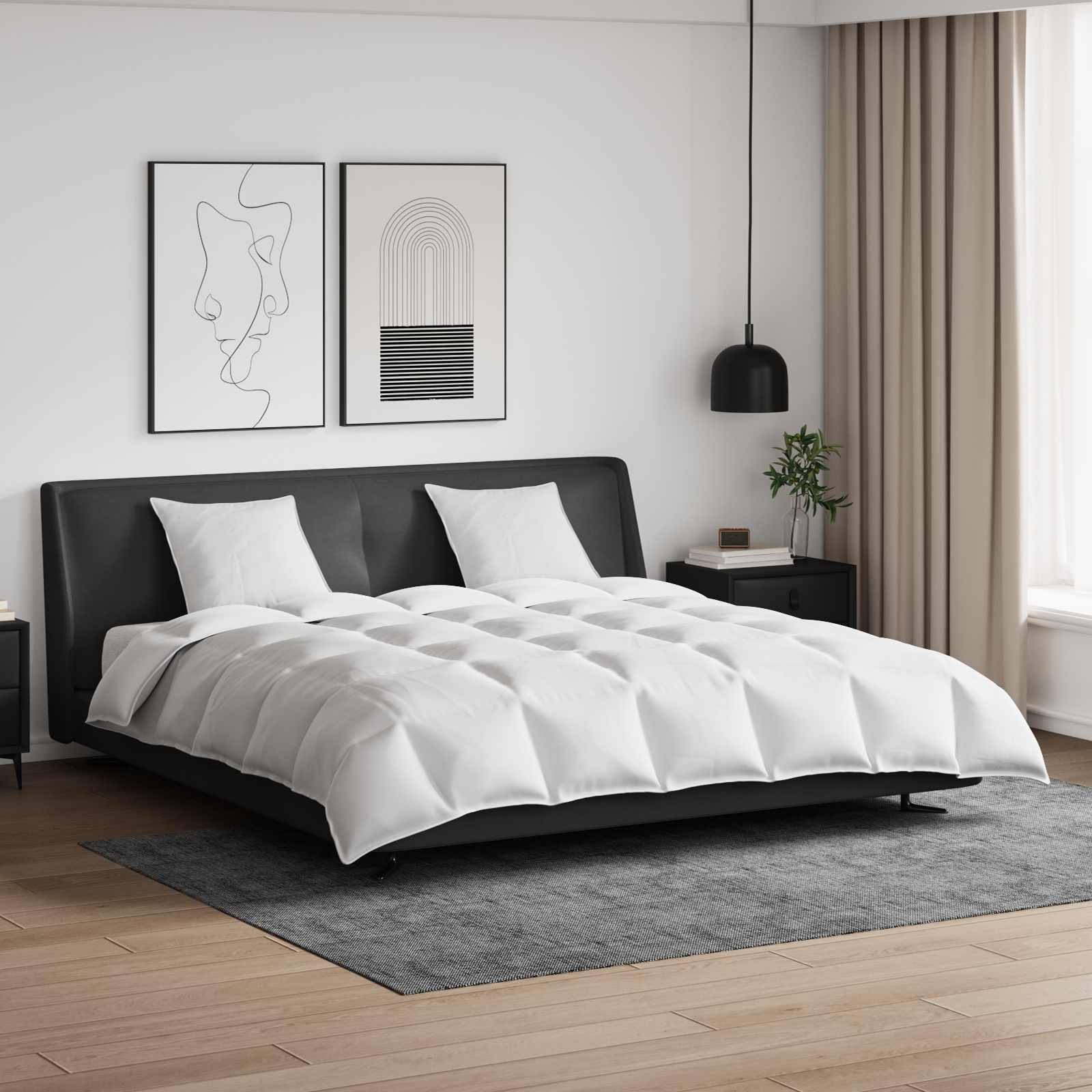 Bettdecken Set Mit Kissen 3 Pcs Weiß Daunenfeder