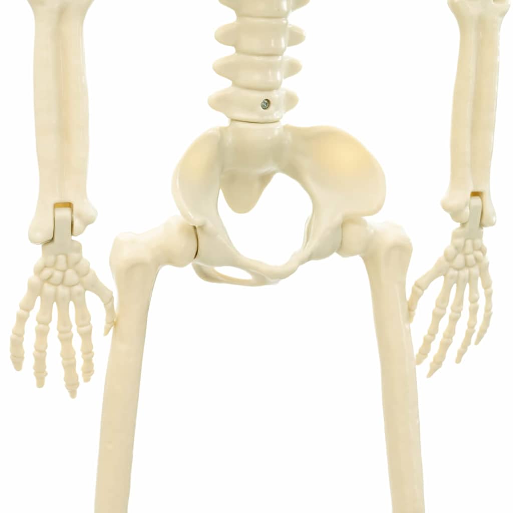 Halloween Skelett 2 Pcs Weiß 85 Cm Polypropylen