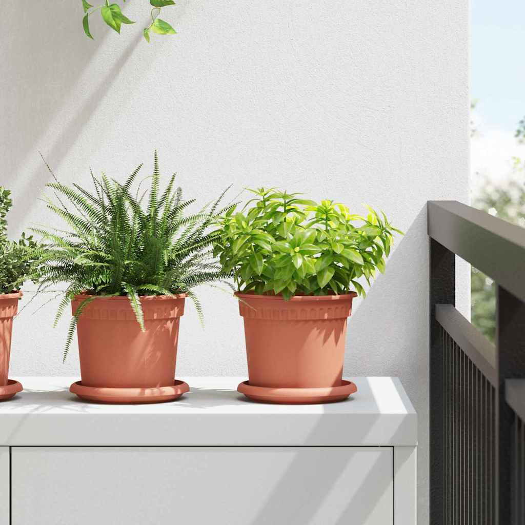 Runde Blumenplatte 6 Pcs Ø 14 X 2 Cm Kunststoff