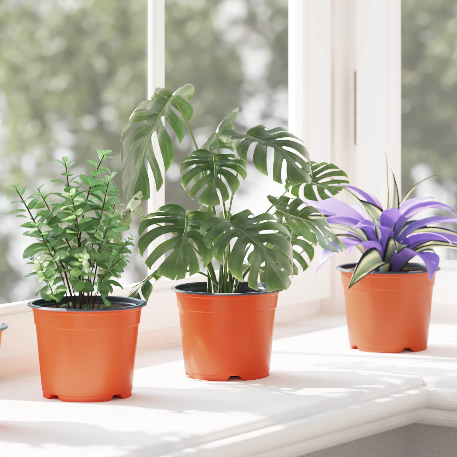 Runder Blumentopf 50 Pcs Terrakotta Ø 10 X 8 Cm Kunststoff
