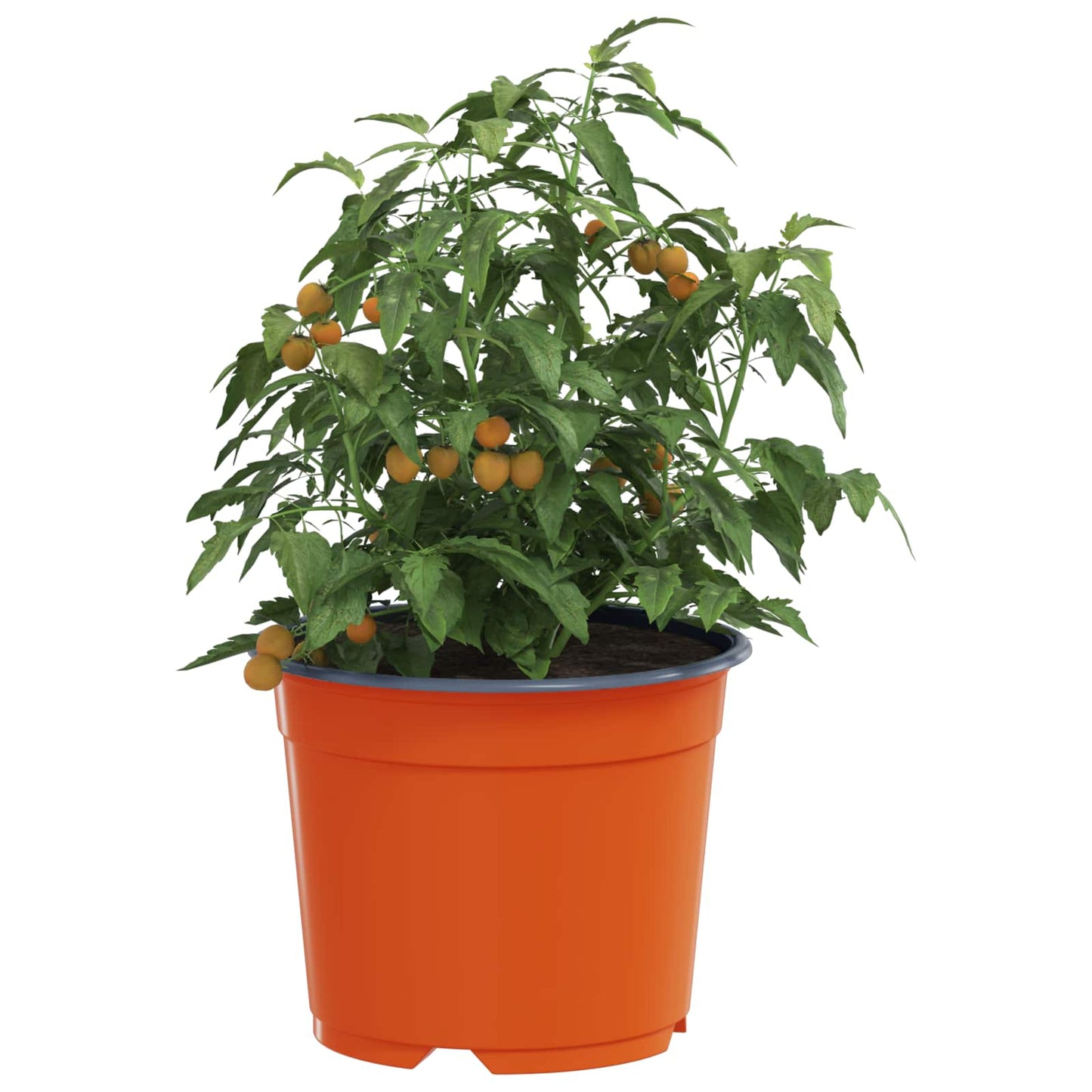 Runder Blumentopf 50 Pcs Terrakotta Ø 10 X 8 Cm Kunststoff
