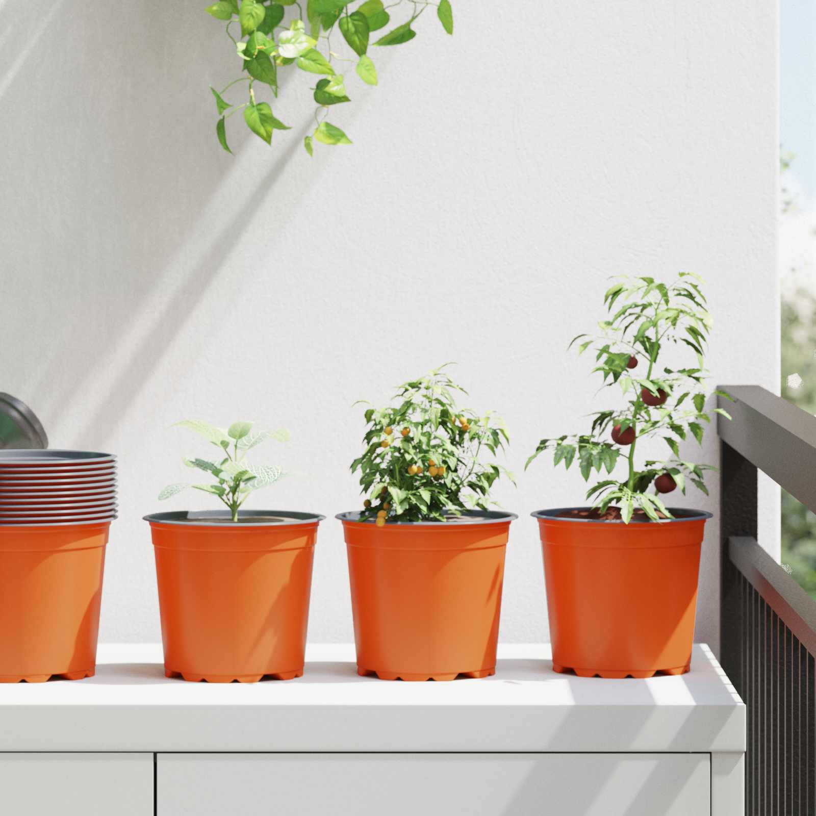 Runder Blumentopf 50 Pcs Terrakotta Ø 10 X 8 Cm Kunststoff
