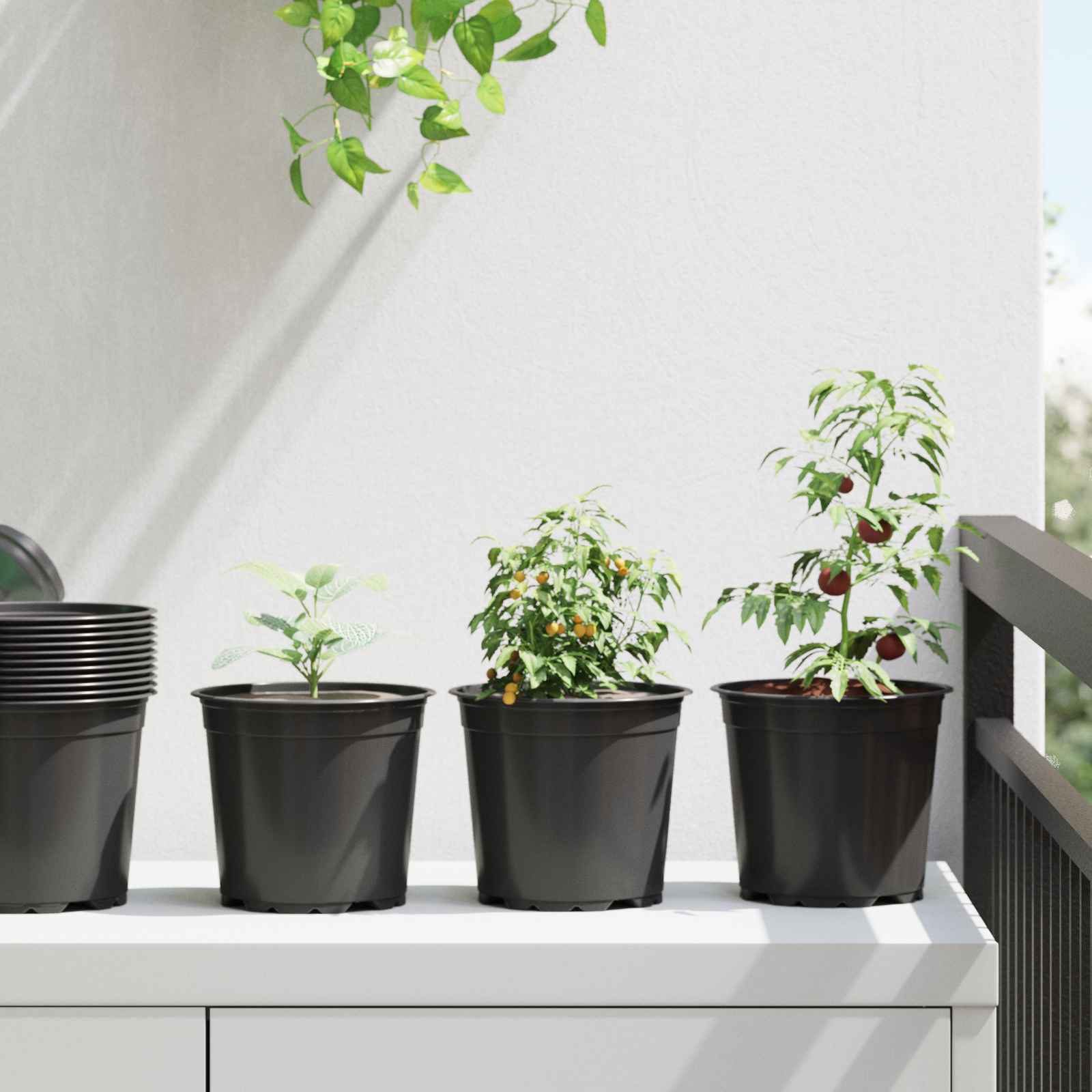 Runder Blumentopf 50 Pcs Terrakotta Ø 10 X 8 Cm Kunststoff