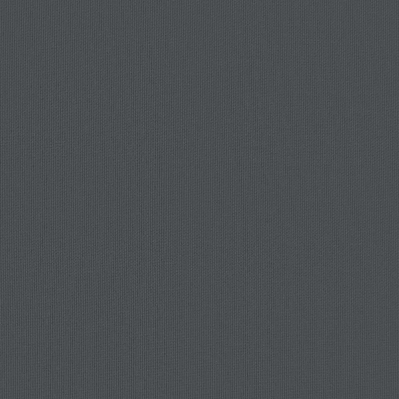 Einzelne Sonnenliege Mit Sonnendach Und Vorhängen Dunkelgrau