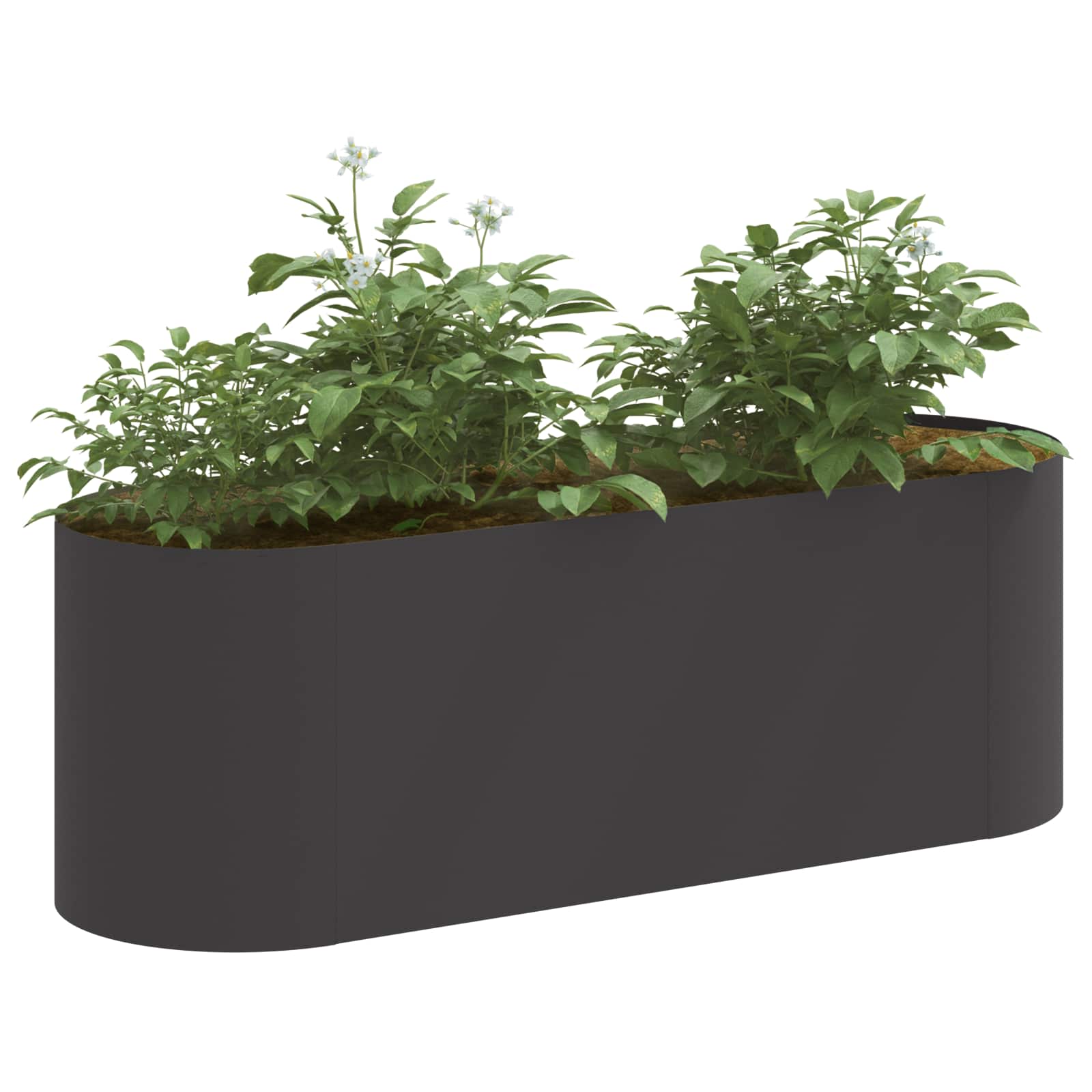 Hochbeet Im Garten 120 X 40 X 40 Cm Stahl